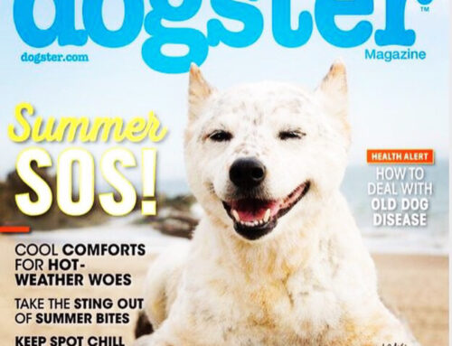 Dogster Magazine / ShadyPaws,Inc.